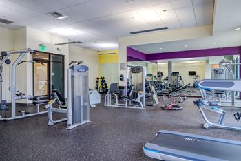 Free Weights in 24-Hour Fitness Studio at Discovery West Apartments in  Issaquah, WA